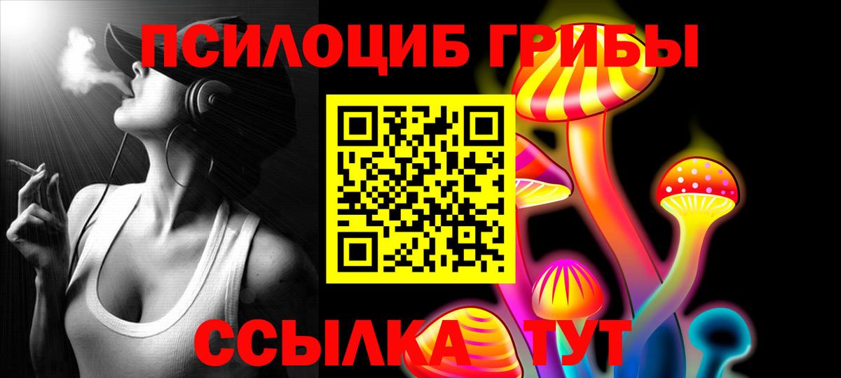 Псилоцибиновые грибы Cubensis Ревда