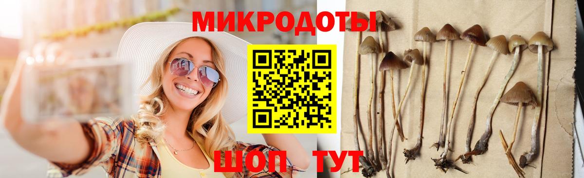Галлюциногенные грибы MAGIC MUSHROOMS  Вход с VPN  Псилоцибиновые грибы GOLDEN TEACHER  Ревда 